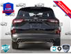 2025 Ford Escape ST-Line (Stk: 250262) in Hamilton - Image 5 of 26