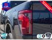 2025 Ford F-150 XLT (Stk: 250263) in Hamilton - Image 10 of 24
