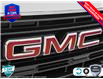 2025 GMC Sierra 1500 Pro (Stk: 25G266) in Tillsonburg - Image 9 of 23