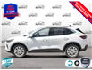 2025 Ford Escape Active (Stk: 250266) in Hamilton - Image 3 of 24