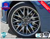 2025 Ford Mustang GT Premium (Stk: 25MU629) in St. Catharines - Image 8 of 23