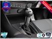 2025 Ford Mustang GT Premium (Stk: 25MU629) in St. Catharines - Image 14 of 23