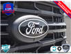 2025 Ford F-150 XLT (Stk: FH102) in Sault Ste. Marie - Image 9 of 23