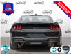 2025 Ford Mustang GT (Stk: 250188) in Hamilton - Image 5 of 23