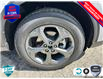 2025 Ford Escape ST-Line (Stk: 5S090) in Oakville - Image 6 of 25