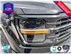 2025 Ford F-150 XLT (Stk: 5F029) in Oakville - Image 8 of 25