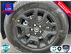 2025 Ford Bronco Sport Big Bend (Stk: BH038) in Sault Ste. Marie - Image 6 of 20