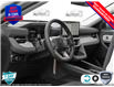2025 Ford Explorer Active (Stk: XH230) in Sault Ste. Marie - Image 11 of 24