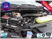 2025 Ford F-150 XLT (Stk: 25F1659) in St. Catharines - Image 6 of 24