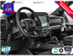 2025 Ford F-150 XLT (Stk: 25F1659) in St. Catharines - Image 12 of 24