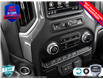 2025 GMC Sierra 1500 Pro (Stk: 25G302) in Tillsonburg - Image 22 of 23