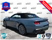 2025 Ford Mustang EcoBoost Premium (Stk: 5G007) in Oakville - Image 4 of 25