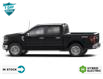 2024 Ford F-150 XLT (Stk: FG042) in Sault Ste. Marie - Image 2 of 3