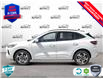 2025 Ford Escape ST-Line Elite (Stk: 25ES172) in St. Catharines - Image 3 of 21