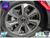 2025 Ford Escape Platinum (Stk: XH020) in Sault Ste. Marie - Image 7 of 23