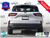2025 Ford Escape ST-Line (Stk: 250194) in Hamilton - Image 5 of 25