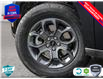 2025 Ford Maverick XLT (Stk: 5M005) in Oakville - Image 8 of 24
