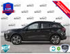 2025 Ford Escape ST-Line Select (Stk: XH026) in Sault Ste. Marie - Image 3 of 25