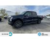 2023 Ford F-150 Lightning XLT (Stk: FF498) in Waterloo - Image 3 of 21
