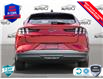 2024 Ford Mustang Mach-E Select (Stk: MG016) in Sault Ste. Marie - Image 5 of 24