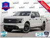 2025 Ford F-150 Lightning XLT (Stk: FH067) in Sault Ste. Marie - Image 1 of 26