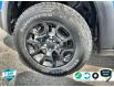 2022 Jeep Cherokee Trailhawk (Stk: 37168D) in Barrie - Image 6 of 21