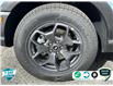 2024 Ford Bronco Sport Badlands (Stk: 4B215) in Oakville - Image 6 of 22