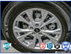 2025 Ford Escape Active (Stk: 25ES1134) in St. Catharines - Image 8 of 23