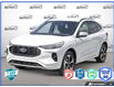2026 Ford Escape ST-Line Elite (Stk: MFLXI017) in Sault Ste. Marie - Image 1 of 21