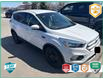 2019 Ford Escape SE (Stk: D5S185A) in Oakville - Image 1 of 11