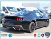 2024 Ford Mustang GT Premium (Stk: 240006) in Hamilton - Image 3 of 24