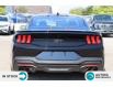 2024 Ford Mustang GT Premium (Stk: 240006) in Hamilton - Image 4 of 24
