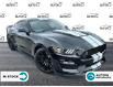2016 Ford Shelby GT350 Base (Stk: P6860) in Oakville - Image 1 of 21