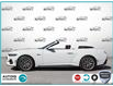 2024 Ford Mustang GT Premium (Stk: 240779) in Hamilton - Image 3 of 24