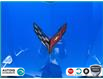 2025 Chevrolet Corvette Stingray (Stk: R175) in Grimsby - Image 9 of 23