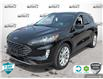 2021 Ford Escape Titanium Hybrid (Stk: A250408) in Hamilton - Image 1 of 23