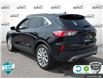 2021 Ford Escape Titanium Hybrid (Stk: A250408) in Hamilton - Image 4 of 23