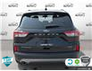 2021 Ford Escape Titanium Hybrid (Stk: A250408) in Hamilton - Image 5 of 23