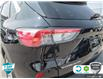 2021 Ford Escape Titanium Hybrid (Stk: A250408) in Hamilton - Image 9 of 23