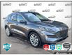 2022 Ford Escape Titanium Hybrid (Stk: 6S010A) in Oakville - Image 1 of 24