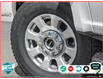2024 Ford F-250 XLT (Stk: 24F2826) in St. Catharines - Image 8 of 25