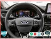 2025 Ford Escape Active (Stk: 25ES093) in St. Catharines - Image 13 of 25