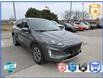 2022 Ford Escape SEL (Stk: 2T1234A) in Oakville - Image 1 of 35