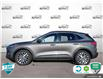 2021 Ford Escape Titanium Hybrid (Stk: RJ0H2485) in Hamilton - Image 3 of 23