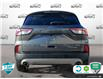 2021 Ford Escape Titanium Hybrid (Stk: RJ0H2485) in Hamilton - Image 5 of 23