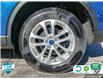 2022 Ford Escape SE Hybrid (Stk: A240951) in Hamilton - Image 6 of 23