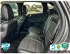 2023 Ford Escape PHEV (Stk: 5S022A) in Oakville - Image 22 of 24