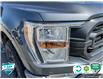 2021 Ford F-150 XLT (Stk: 5F052X) in Oakville - Image 8 of 24