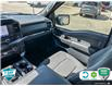 2021 Ford F-150 XLT (Stk: 5F052X) in Oakville - Image 24 of 24