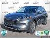 2022 Ford Escape Titanium Hybrid (Stk: B250230) in Hamilton - Image 1 of 23